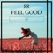 FEEL GOOD (feat. Rico) - Robbie Robb lyrics