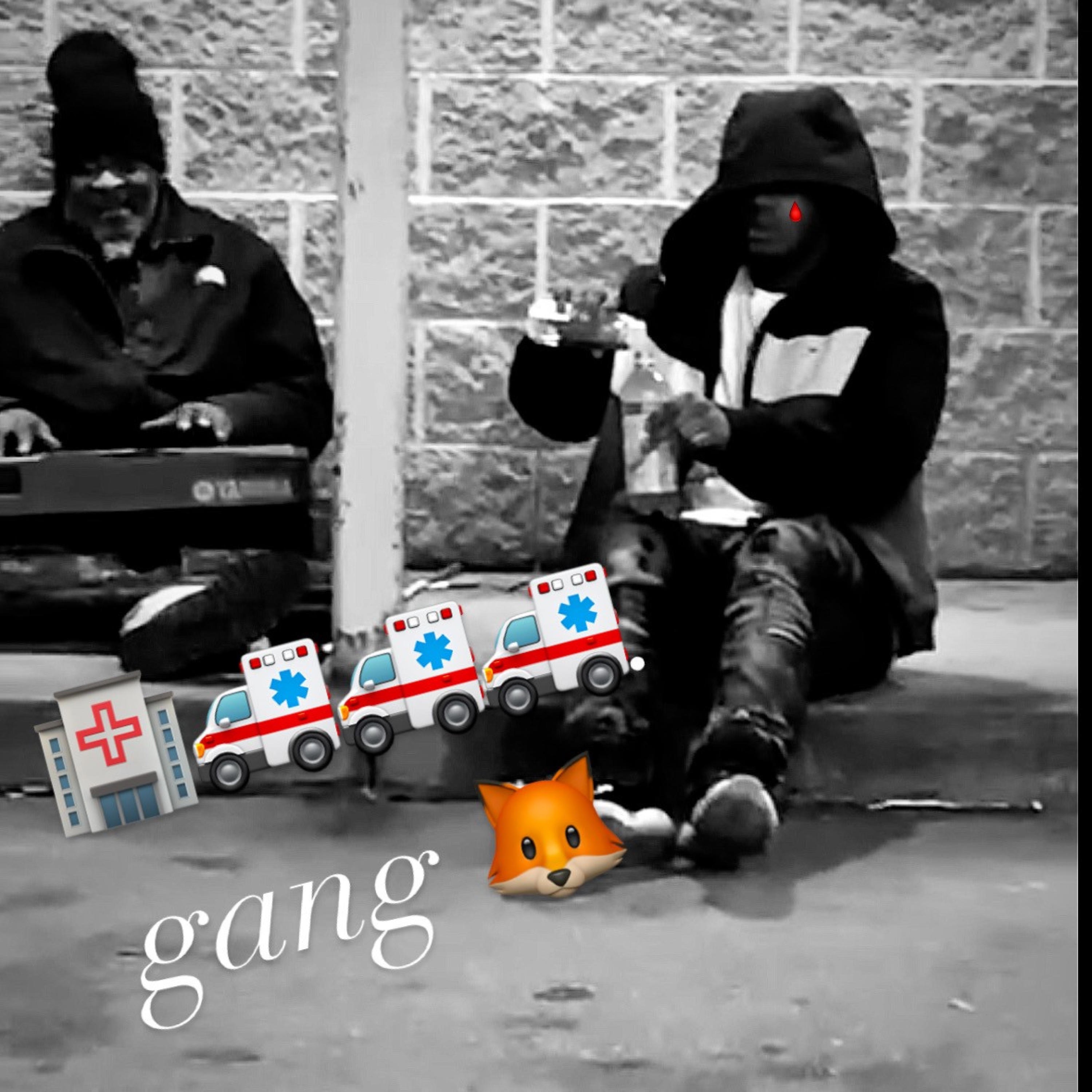 Hpg(Patrisia) - Single