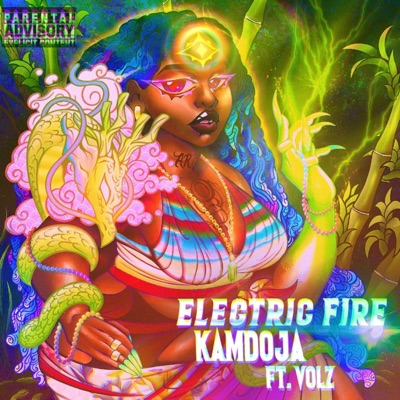 Electric Fire (feat. Volz) - Single