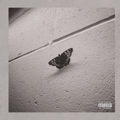 Walls of a Cocoon