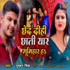 Chhed Dihi Chhati Yaar Bhumihar Ha - Single