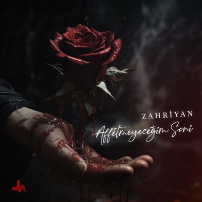 Affetmeyeceğim Seni - Single