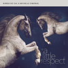 A Little Respect - Banda do Sul & Michelle Simonal