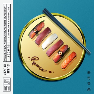 Hold Back, Turn Back (Norman Doray Remix) - Single