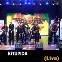 Estúpida (Live) - Single - La Valentia Norteño Banda