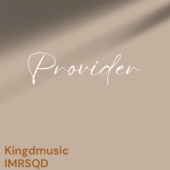 Provider artwork