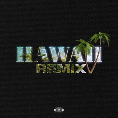 Hawaii (Remix) - Single