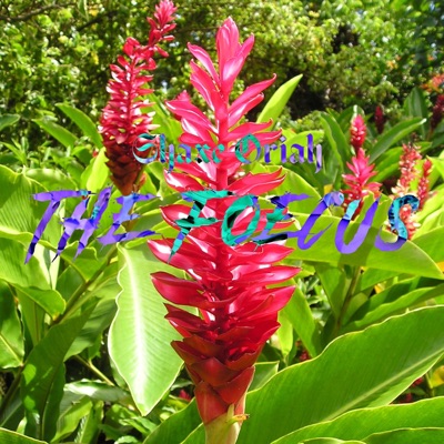 Lo Ta Nu'u (feat. Asora, Pearl & Ras Mas) [Day 47/100] [Day 47/100] - Single