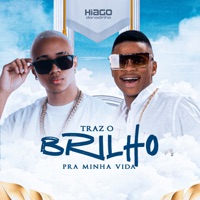 Traz O Brilho Pra Minha Vida - Single - Hiago Danadinho