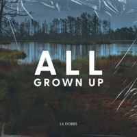 All Grown Up - Lil Dobbs