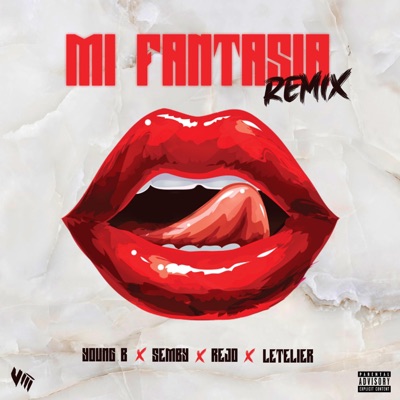 Mi Fantasía (feat. Semby, Letelier & Rejo) [RMX] - Single