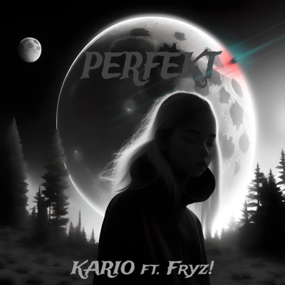 Perfekt (feat. Fryz!) - Single