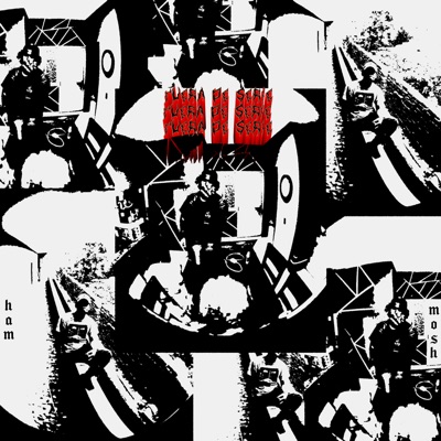 Fuera de Serie - Single