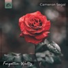 Forgotten Waltz - Single