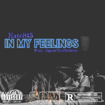 In My Feelings (feat. JigsawTheProblem) - Single