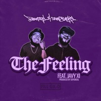 The Feeling (feat. Javy XI & Soy Is REAL) - Single - Knaladeus