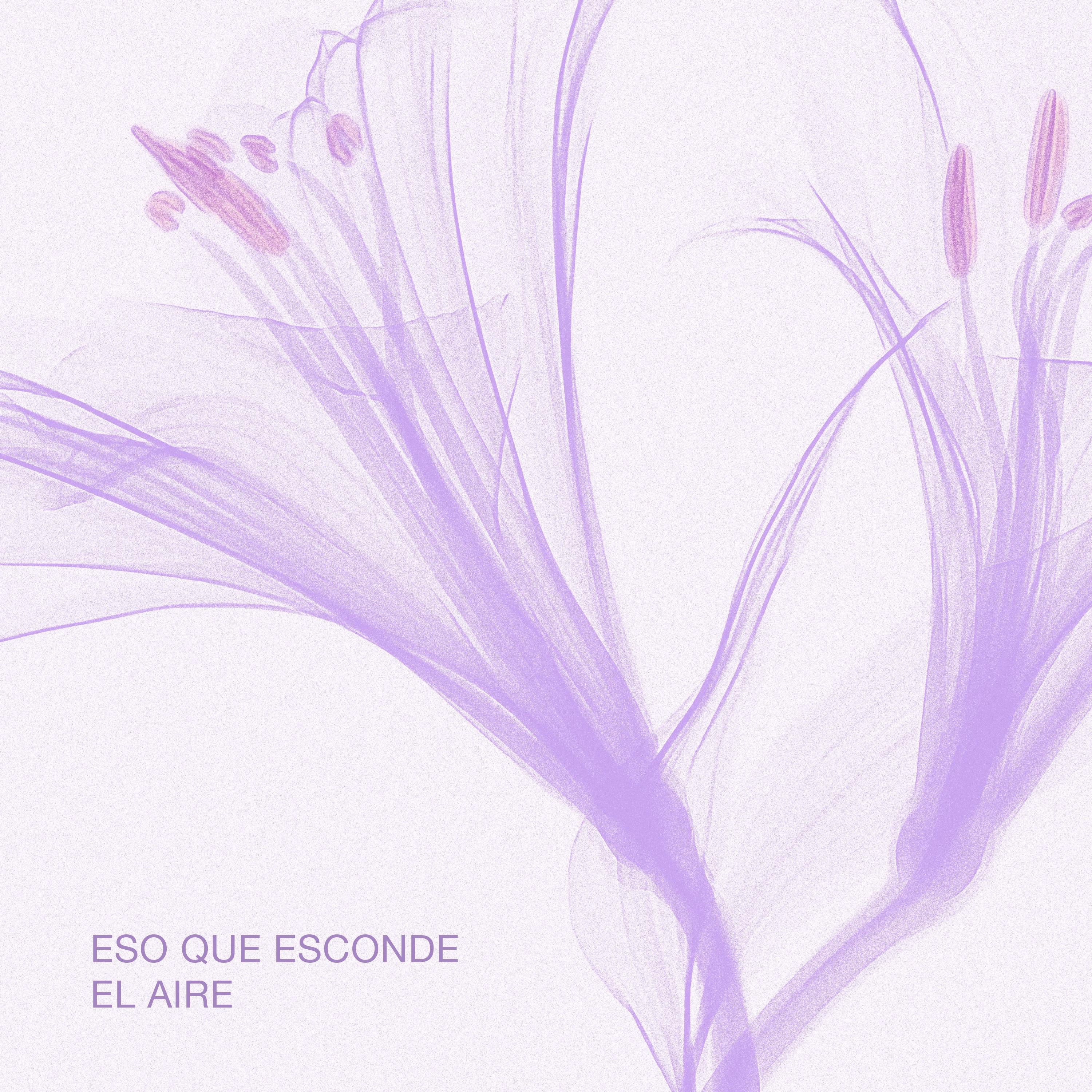 Eso que esconde el aire - EP