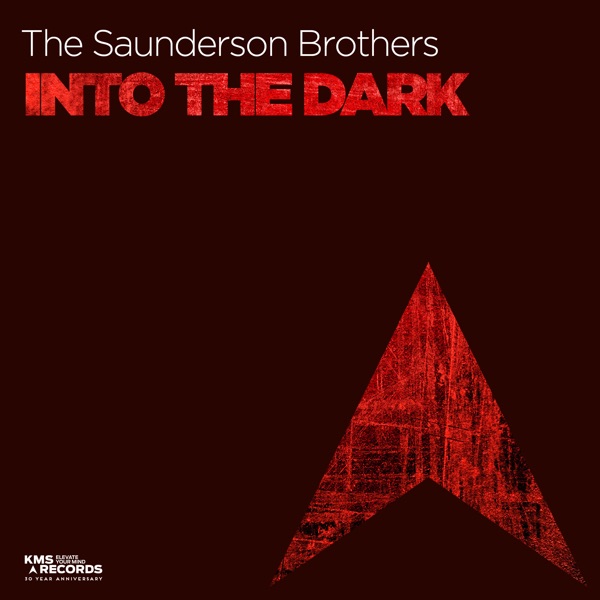 Into the Dark - Single