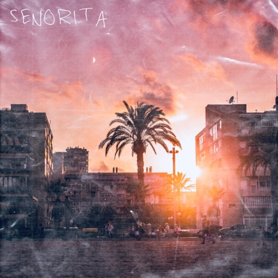 Senorita (feat. Gla$s) - Single