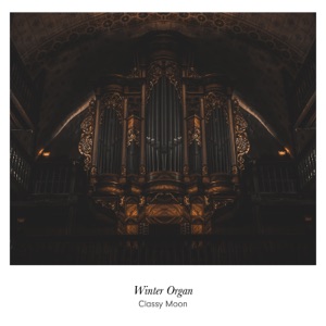 Winter Organ - Single