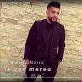 Te vad mereu in fata mea