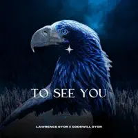 _To_See_You — Lawrence_Oyor_