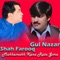 Meena Ke Sezal kho Bawe (feat. Shah Farooq) - Gul Nazar lyrics