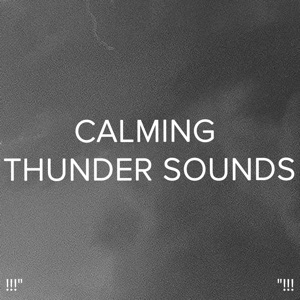 !!!" Calming Thunder Sounds "!!!