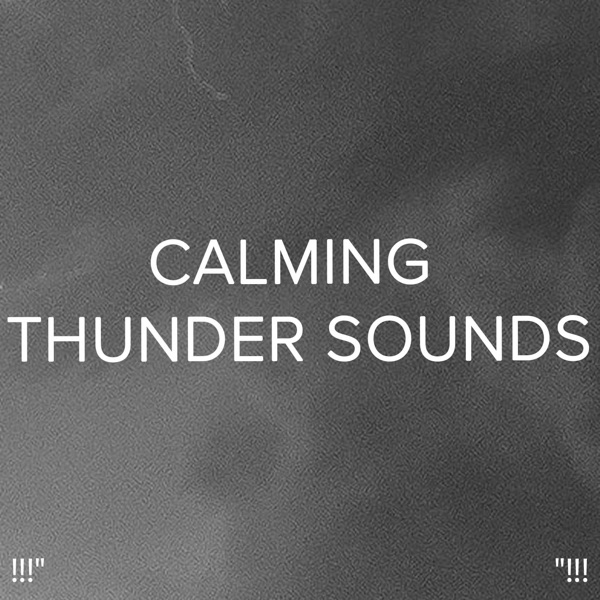 !!!" Calming Thunder Sounds "!!!