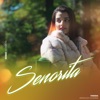 Senorita (feat. Aniroudh Sharma) [Hindi Version] [Hindi Version] - Single