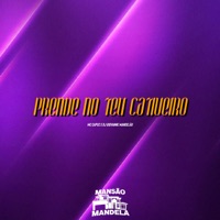 Prende no Teu Cativeiro - Single - MC Capuz & Dj Giovanne Mandelão
