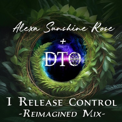 I Release Control (DTO Reimagined Mix) - Single