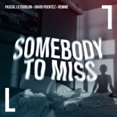 Somebody To Miss artwork