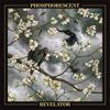 Phosphorescent - Revelator  artwork