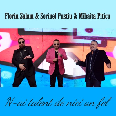 Song - N-ai talent de nici un fel - Mihaita Piticu, Florin Salam & Sorinel Pustiu
