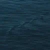 Somnolent - Rain
