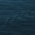  - Relaxing Rain Sound
