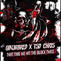That Time We Hit the Block Twice (feat. TSD Chris) - Single - GinjaBred