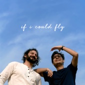 If I Could Fly artwork
