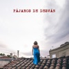 Pájaros de Desván - Single