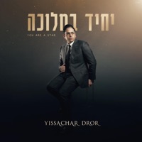 יחיד במלוכה  You are a Star - Yissachar Dror