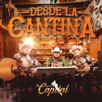 Desde la Cantina (En Vivo) - Los de la Capital