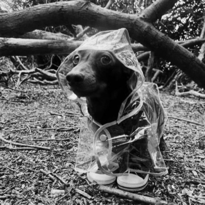 hater. (Sped Up) - Single