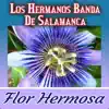 Flor Hermosa