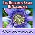 Flor Hermosa