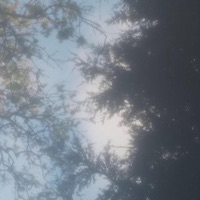 Somewhere Else - Single - Greenwood