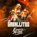 Los Caballitos