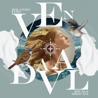 Vendaval - Single - Rolando Fino & Escala Mercalli