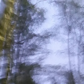 строчки о тебе (forever) сеня