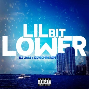 Lil Bit Lower (feat. DJ Schreach) - Single